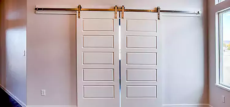 Glass Barn Door with Installation Hardware Kit Adelanto