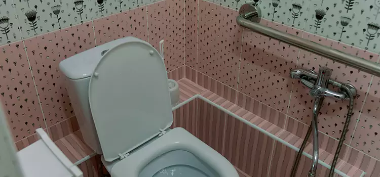 Meeting Diverse Needs With Accessible Restroom Solutions in Adelanto, CA