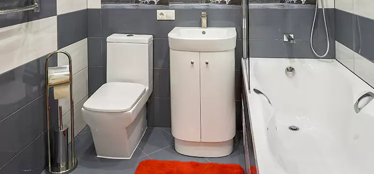 Hansgrohe Shaving Mirror Adelanto